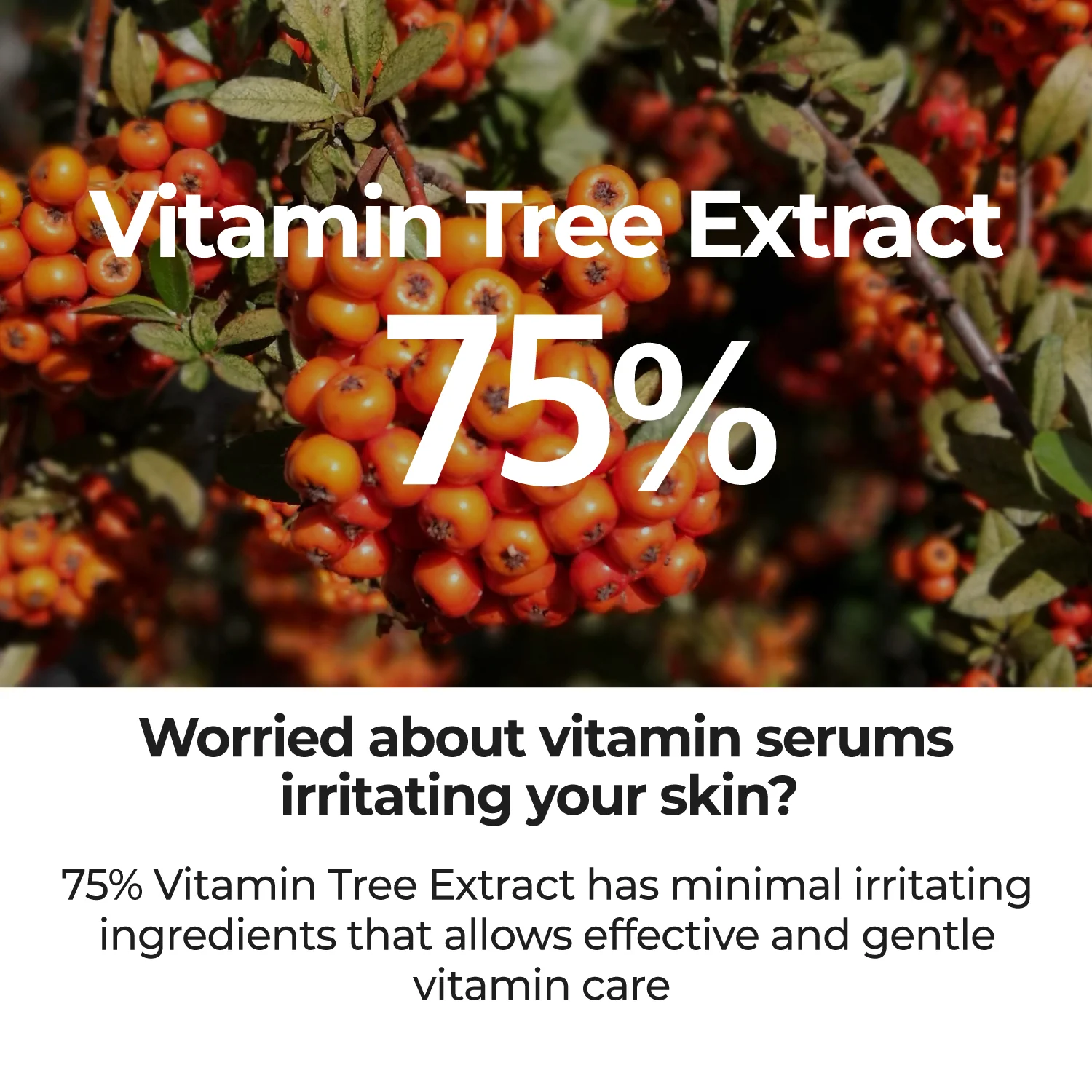 No.5 Goodbye Blemish Serum - Image 6